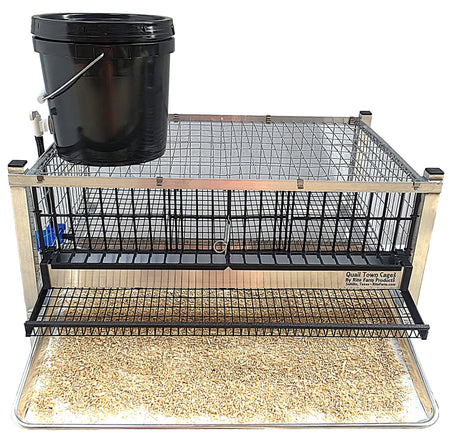 Quail Town modular Coturnix layer cage with front egg rollout and PVC-coated wire flooring