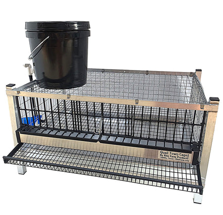 Quail Town modular Coturnix layer cage with front egg rollout and PVC-coated wire flooring