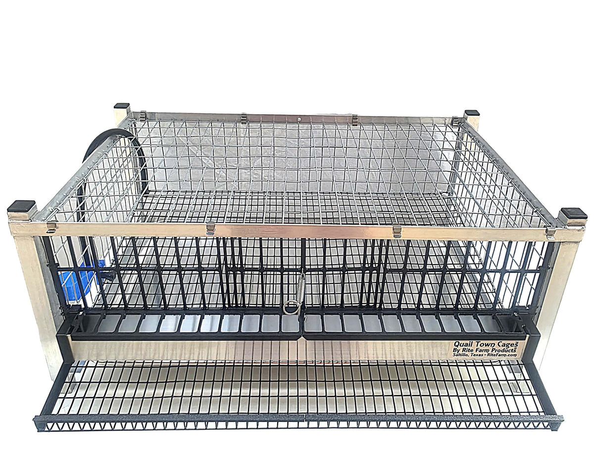 Quail Town modular Coturnix layer cage with front egg rollout and PVC-coated wire flooring