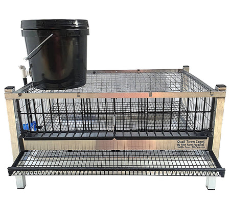 Quail Town modular Coturnix layer cage with front egg rollout and PVC-coated wire flooring