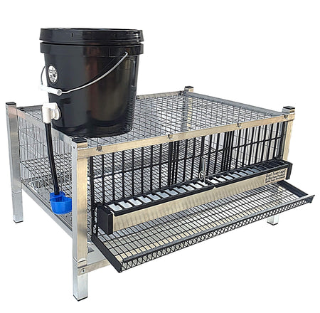 Quail Town modular Coturnix layer cage with front egg rollout and PVC-coated wire flooring